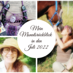 Collage für den Monatsrückblick Juli. Zu sehe ist eine Frau mit Hut , eine Frau mit ihrem Pferd, die in der Wiese sitzt und ein Hufeisen mit Makrameebänder