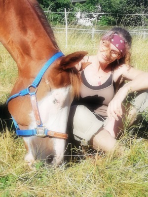 Portrait eines fuchsfarbenen Pferdes. Daneben sitzte eine Frau im Gras