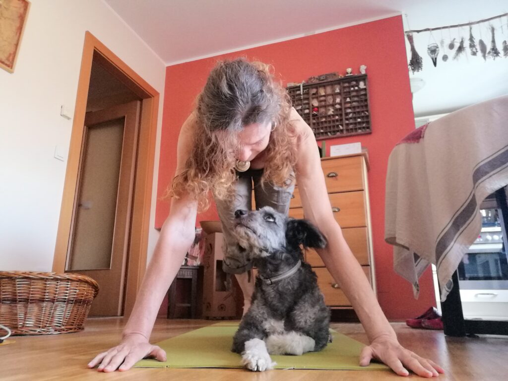 Morgenyoga mit Hund