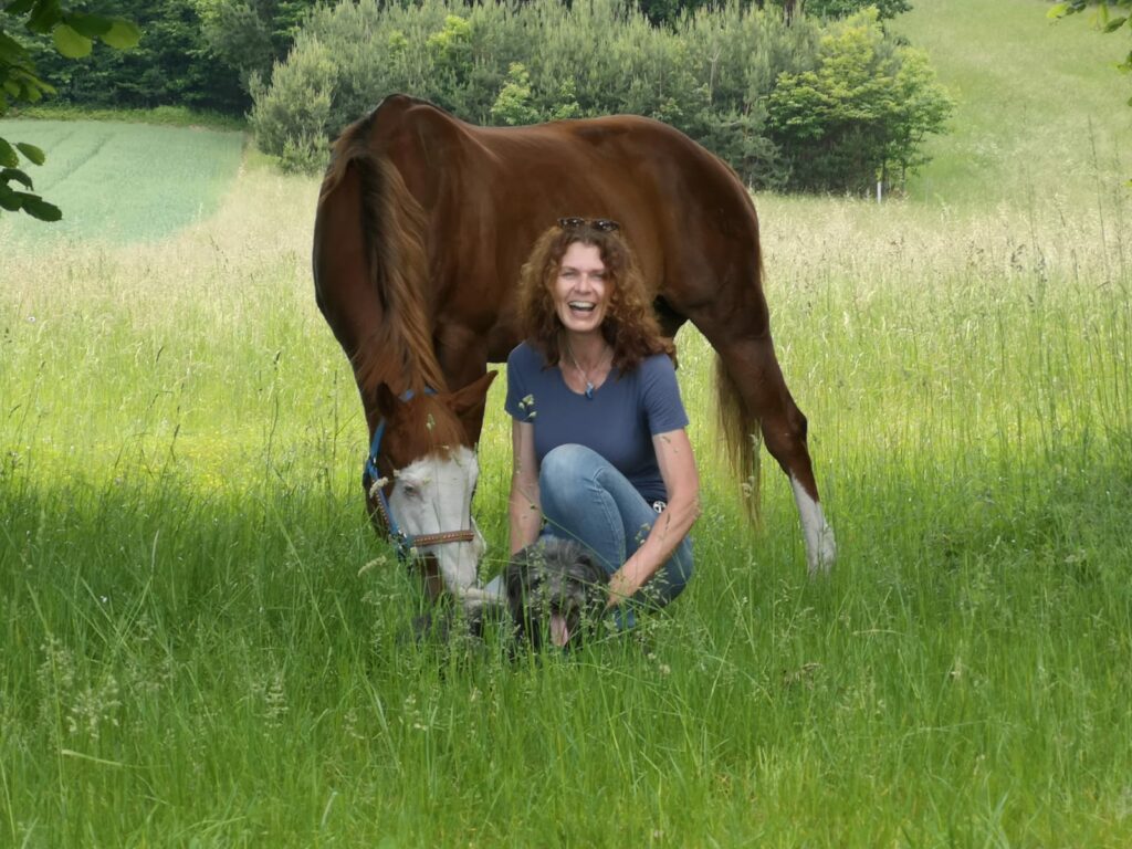 Pferd mit Frau und Hund im Gras