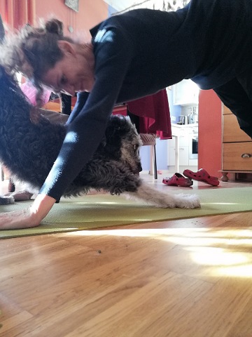 Morgenyoga mit dem Hund