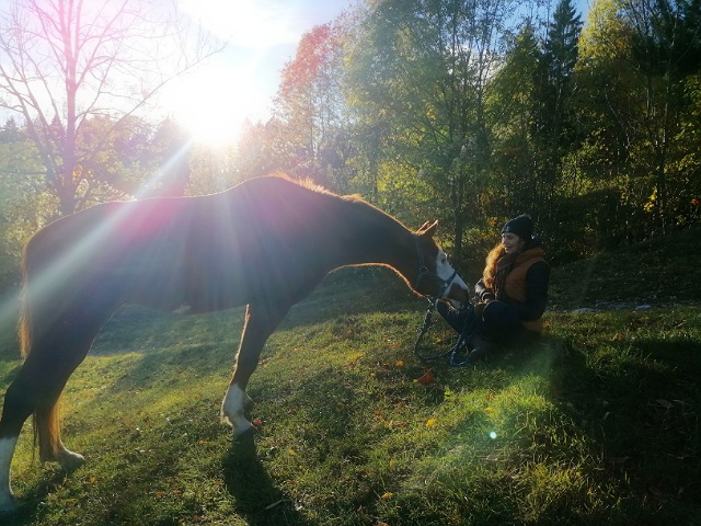 Ein brauenes Pferd steht auf der Wiese und schaut auf die sitzende Frau vor ihm. Die Sonne leuchtet und erzeugt ein schönes Gegenlicht. Die Wiese ist saftig grün