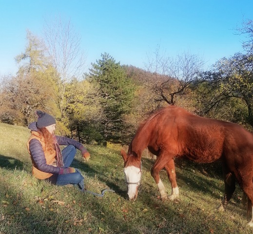 Ein braunes Pferd frisst auf der Wiese und eine Frau  sitzt auf der Wiese vr dem Pferd. Im Hintergrund herbstliche Farben in den Bäumen und der Himmel ist stahlblau