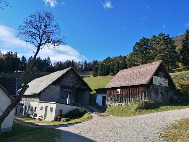 Wohnhaus und Stadl auf der Alm 